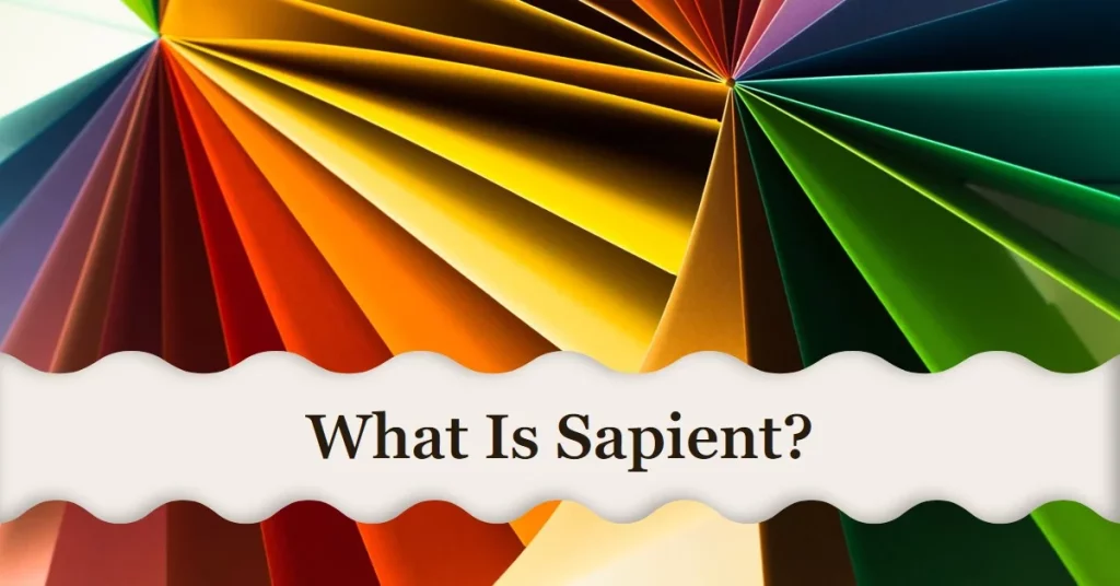What is Sapient
