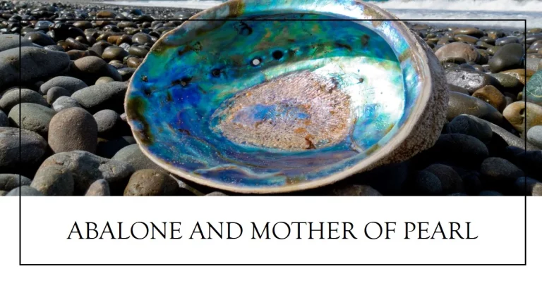 What is the difference between Abalone and Mother of Pearl?