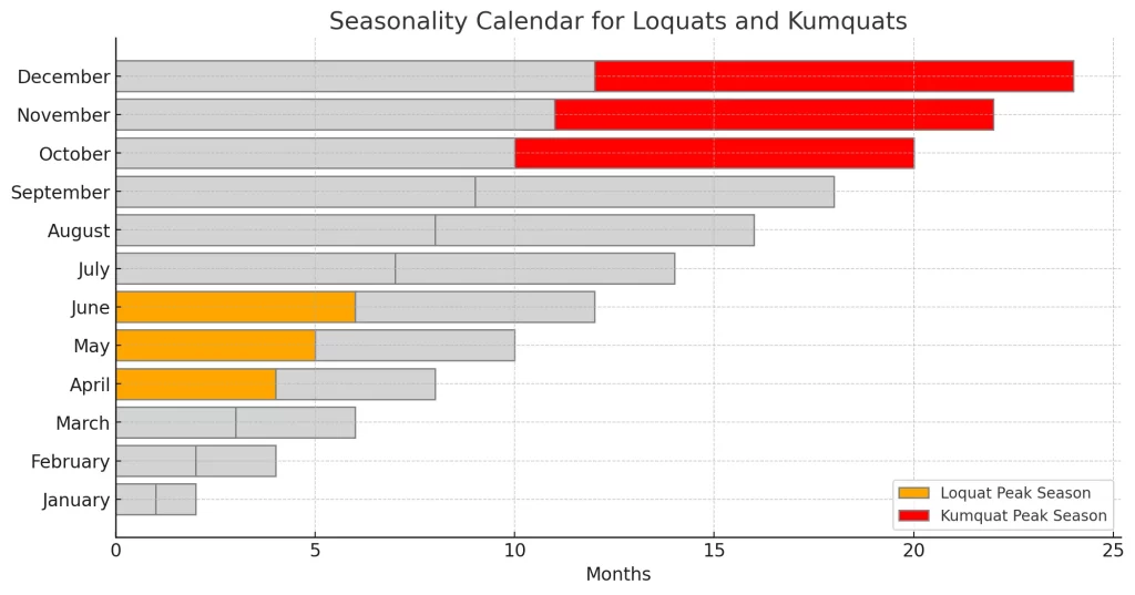 Here is the Seasonality Calendar, which visually represents the peak availability months for loquats and kumquats